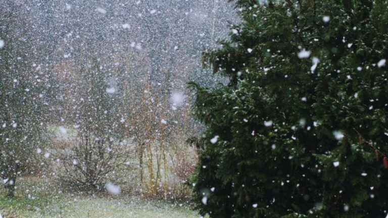 أحوال الطقس المرتقبة غدا بعدد من مناطق المملكة