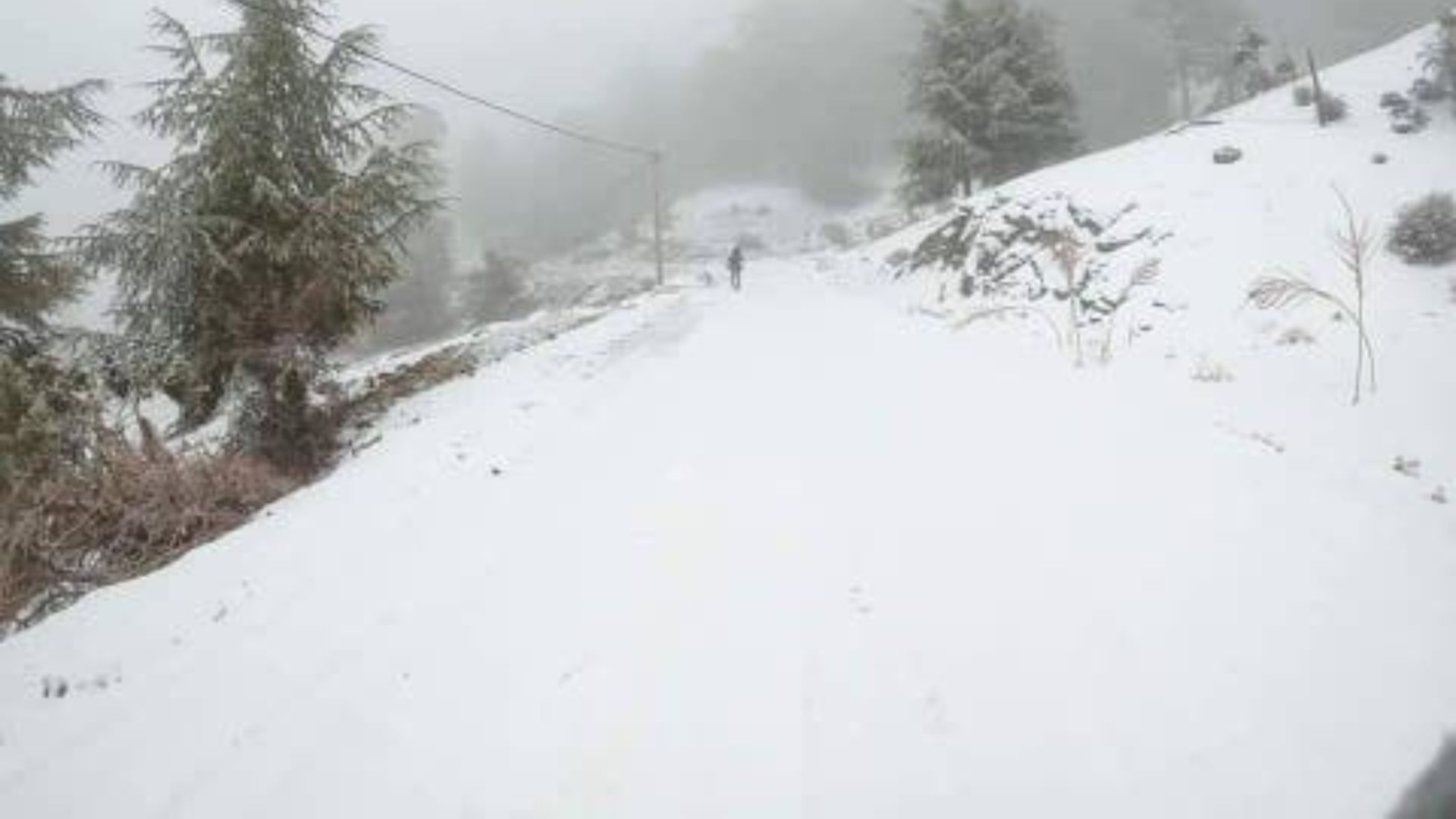 جريدة الاخبار 24 % - الثلوج رافد استراتيجي للأمن المائي في ظل تحديات الجفاف