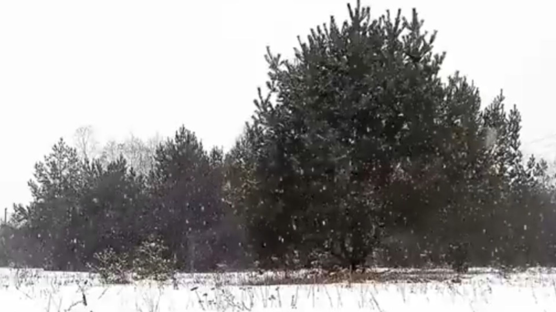 جريدة الاخبار 24 % - ثلوج وأمطار بعدة أقاليم المملكة المغربية