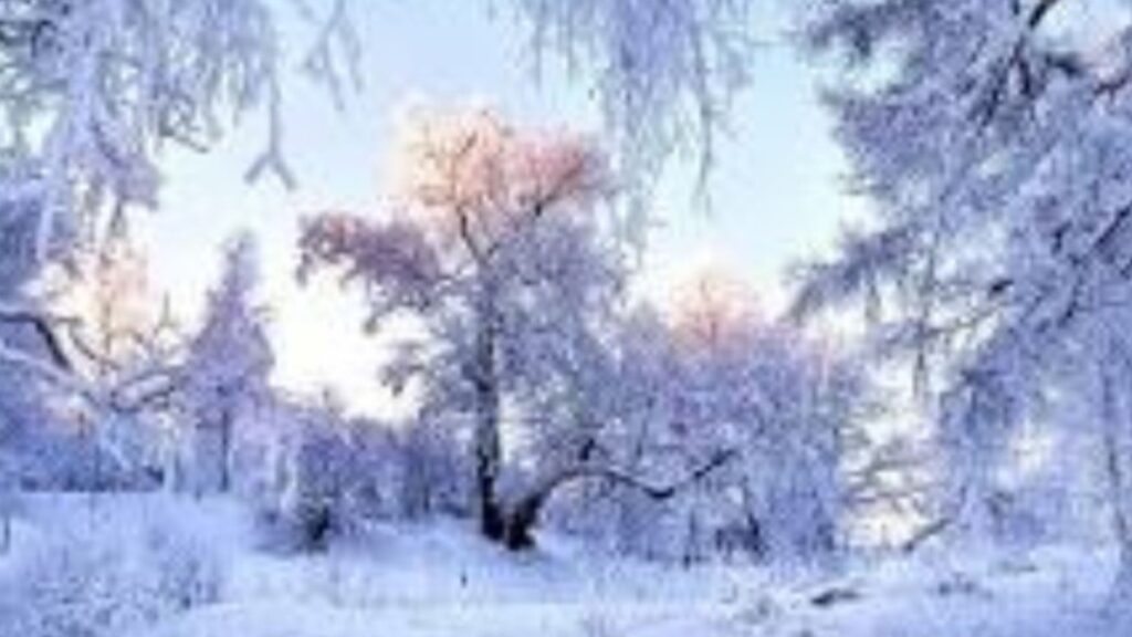 ثلوج وأمطار بعدة أقاليم المملكة المغربية - 2026 جريدة الاخبار 24 % - ثلوج وأمطار بعدة أقاليم المملكة المغربية