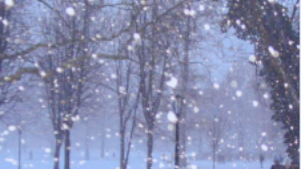 جريدة الاخبار 24 % - طقس غير مستقر أمطار بعدة مناطق المملكة