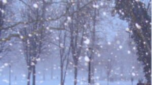 جريدة الاخبار 24 % - طقس غير مستقر أمطار بعدة مناطق المملكة