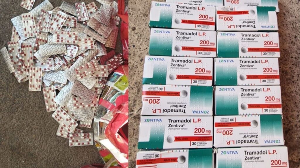 جريدة الاخبار 24 % - إحباط عملية تهريب دولية بميناء الناظور