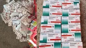 جريدة الاخبار 24 % - إحباط عملية تهريب دولية بميناء الناظور