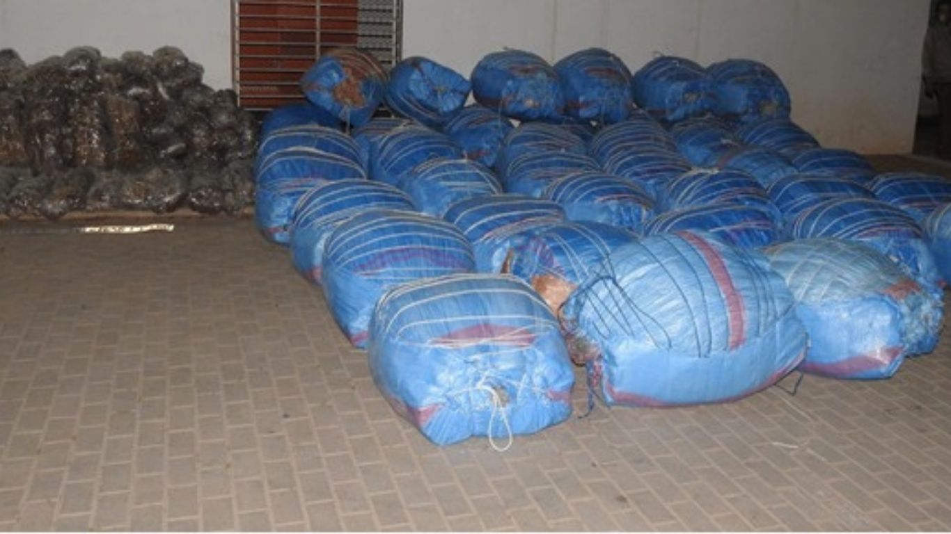 عمليات أمنية تطيح بمروجي المخدرات والمؤثرات العقلية - 2026 جريدة الاخبار 24 % - عمليات أمنية تطيح بمروجي المخدرات والمؤثرات العقلية