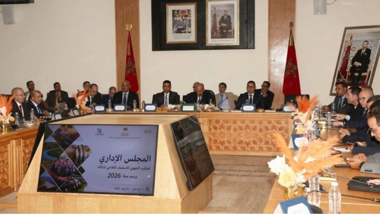 وزير الفلاحة يترأس المجلس الإداري للمكتب الجهوي للاستثمار الفلاحي لدكالة